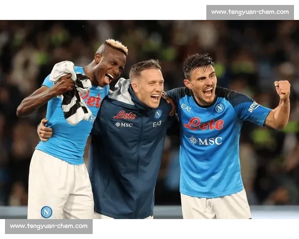 西汉姆 1100 万英镑报价博让！埃弗顿、布伦特福德加入争夺战